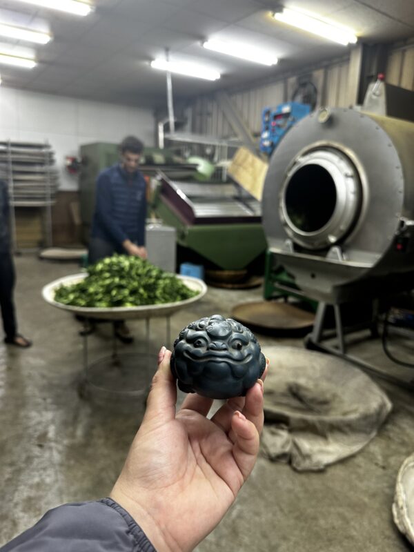 Li Shan 梨山 Wu Long - Té Wulong - Imagen 8