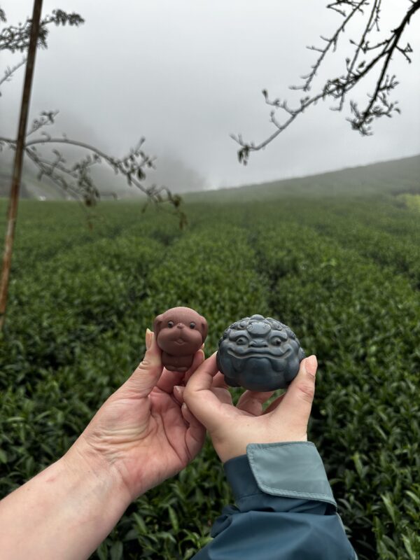 Ali Shan 阿里山 Wu Long SIN Horneado - Té Wulong - Imagen 5